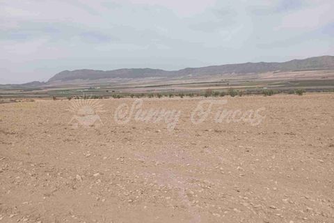 Finca i Yecla, Murcia, Yecla - € 350.000 | Ref: SF0507 - foto 27